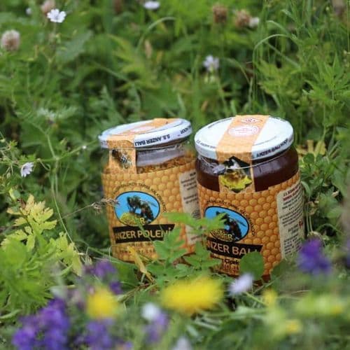 Anzer Honey