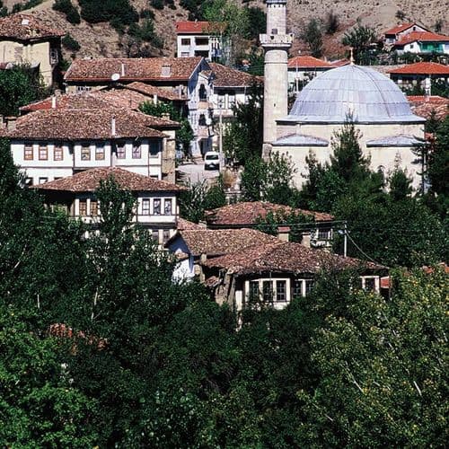 Model Taraklı Houses