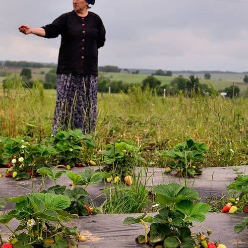 Sürmeli Organic Village