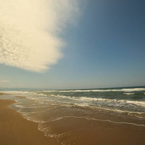 Sarıkum Nature Area