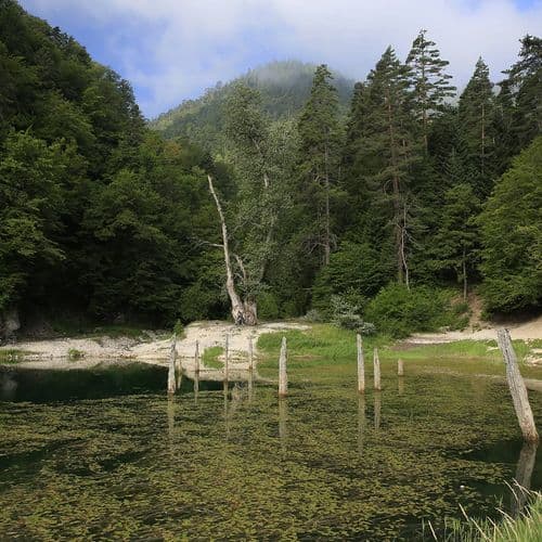 Lake Sülüklü Nature Park
