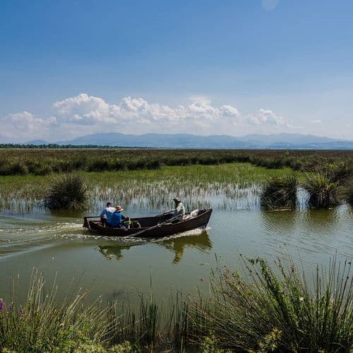 Kızılırmak Delta Wetland and Bird Sanctuary, Samsun