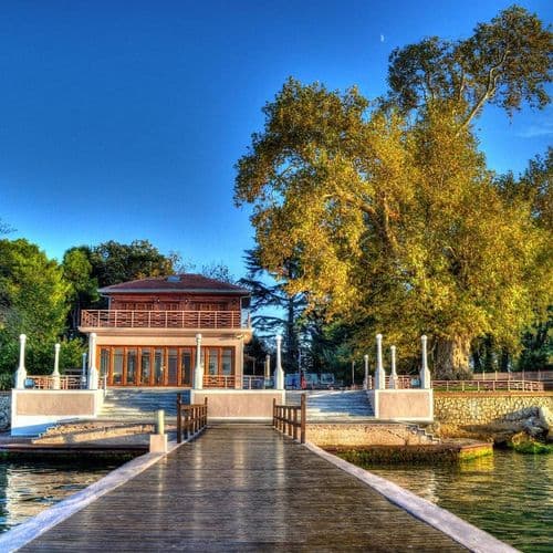 «Ходячий» особняк