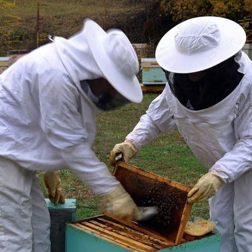 Flower Honey
