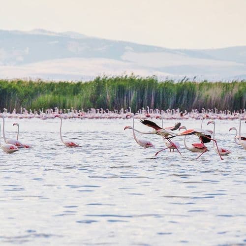 Sultandağı Eber Lake