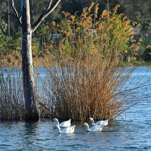 Seyhan River and Dam Lake