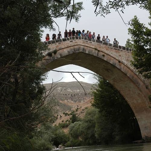 Aşağı Bridge (Tahar Bridge)