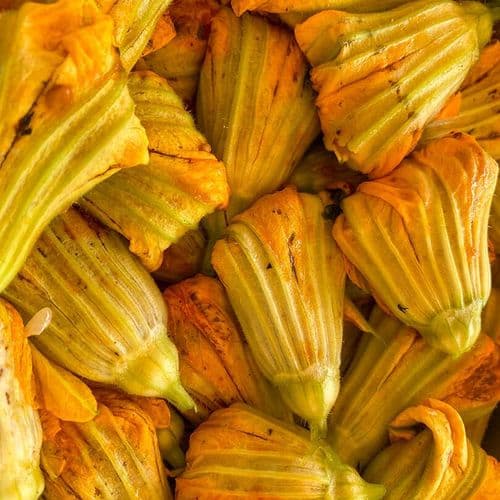 Stuffed Zucchini Flower