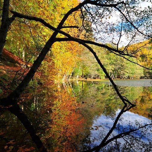 El Parque Nacional de los Siete Lagos