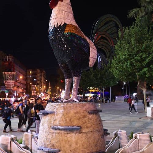 Denizli Rooster Symbol