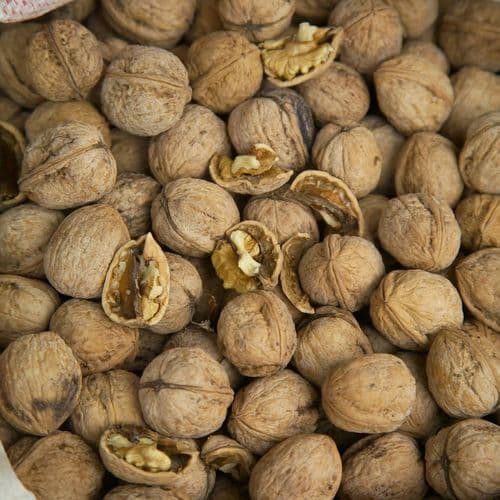 Adilcevaz Walnut Bitlis