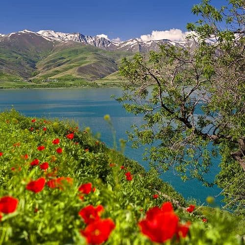 Lake Van in Spring