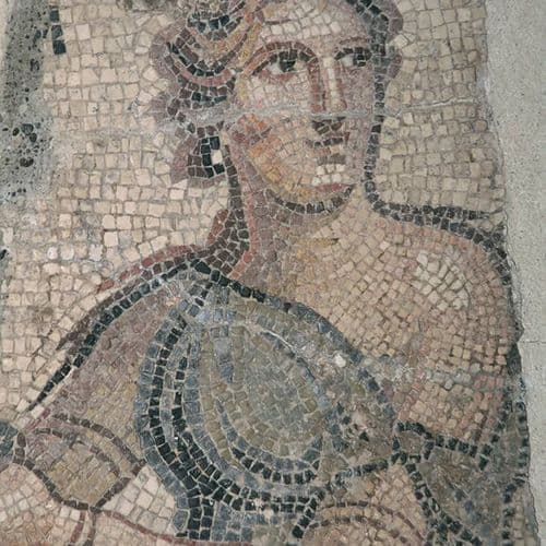 Zeugma Mosaic Museum