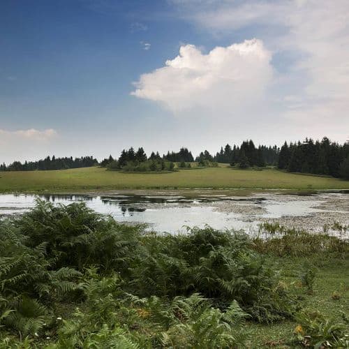 Nature Park of Gölcük