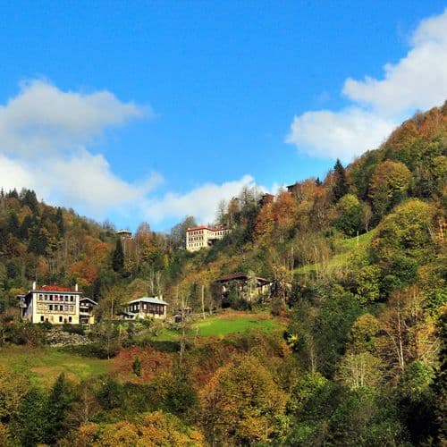 Historical Çamlıhemşin Houses