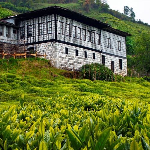 Historical Fındıklı Houses