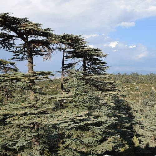 Kızıldağ National Park