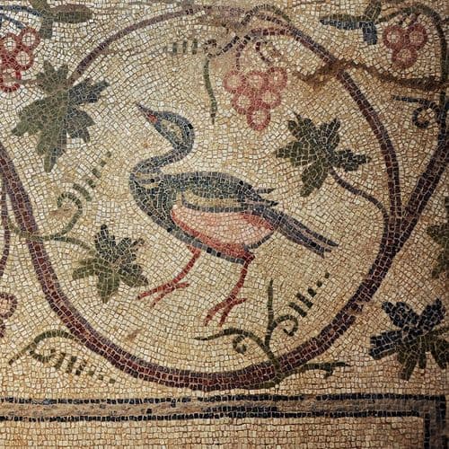 Germanicia Mosaic Field Archaeological Site