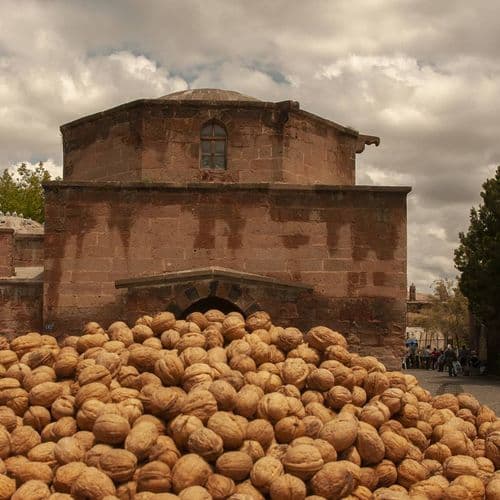 Kayseri Walnuts