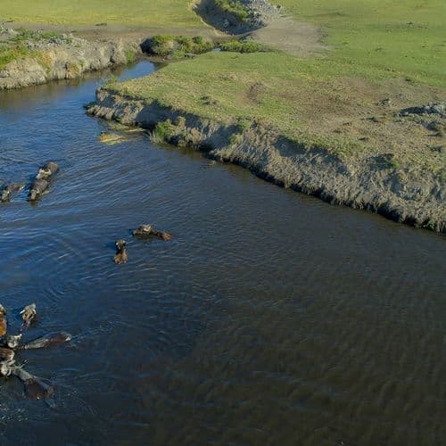 نیزار حرمتچی