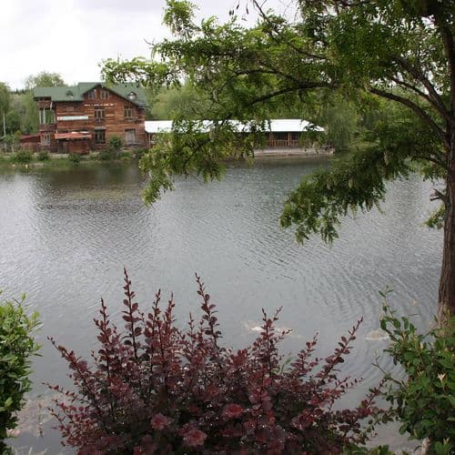 Celal Bayar Picnic Area