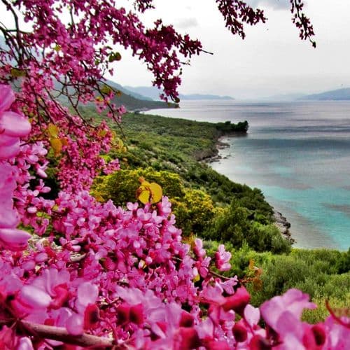 Dilek Peninsula National Park