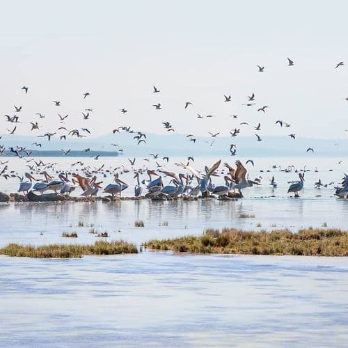 National Park of Bird Paradise