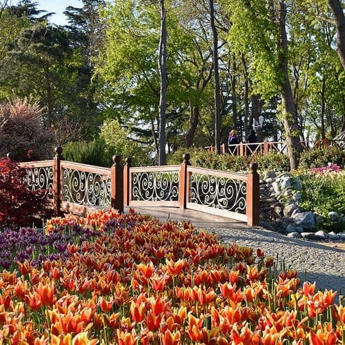 Tulips in Emirgan Park İstanbul