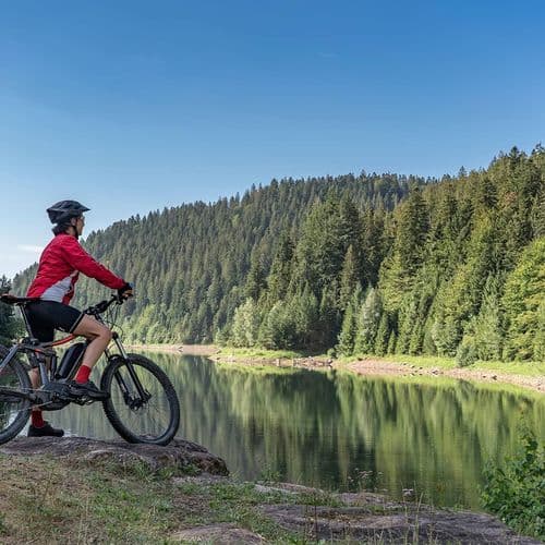Cycling in the Forests