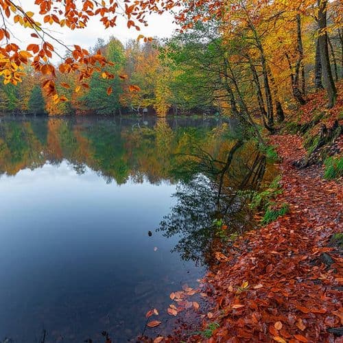 Lake Yedigöller National Park Bolu