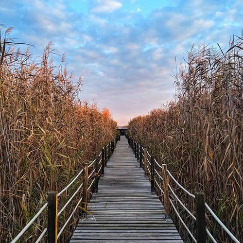 Sultansazlığı National Park Kayseri