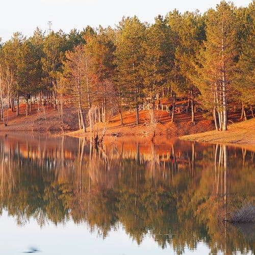 Yozgat Çamlık Milli Parkı