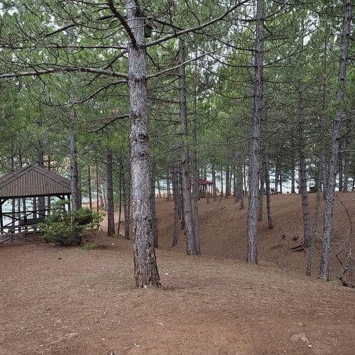 Yozgat Çamlık Milli Parkı