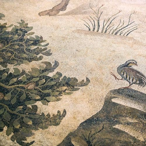 Haleplibahçe Mosaic Museum