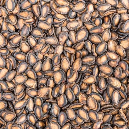 Roasted Watermelon Seed