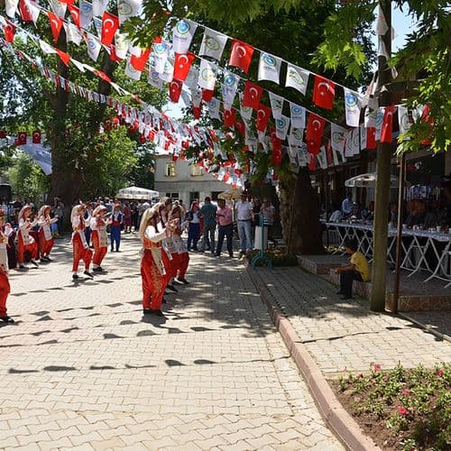 Cherry Festival Greeting Dance