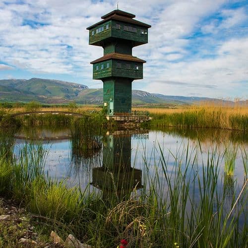Kaz Lake Wildlife Development Area