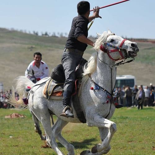 Turkish Jereed Javeline