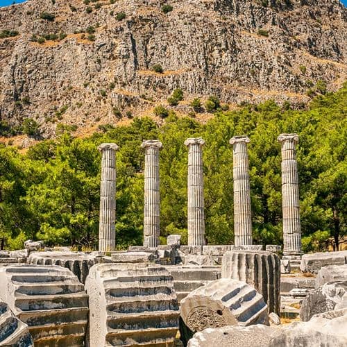 Priene, Aydın
