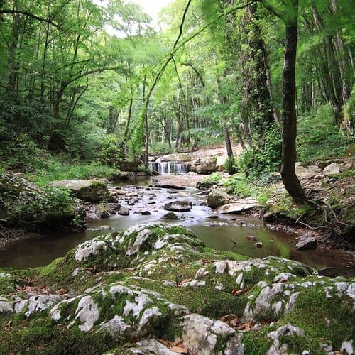 Çiftekaynak Waterfalls Kırklareli
