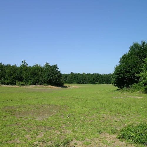 Плато Карлык