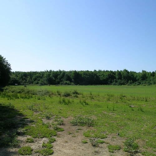 Плато Карлык