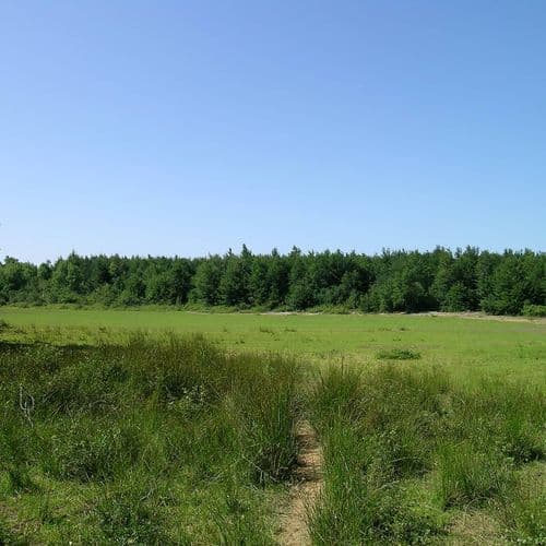 Плато Карлык