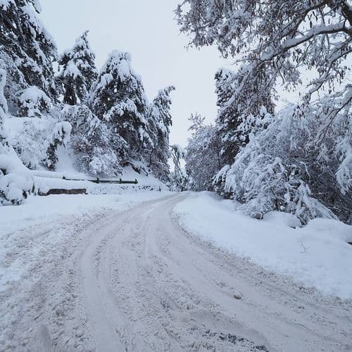 حديقة جاملك الوطنية