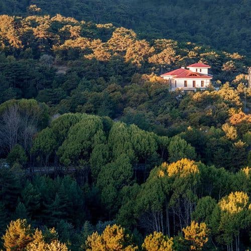 Çamlık-Nationalpark