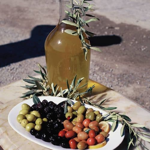 Olive and Olive Oil