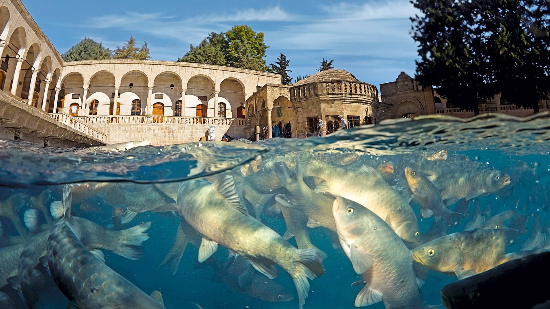 Legendary Balıklıgöl